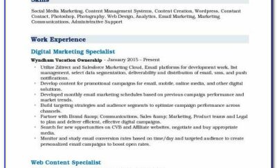 Digital Marketing Resume Indian Sample
