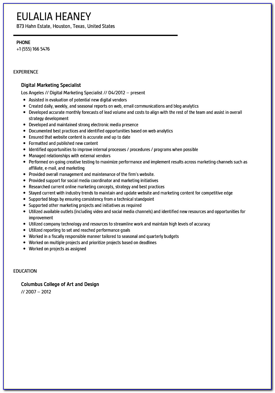 Digital Marketing Resume Sample Download