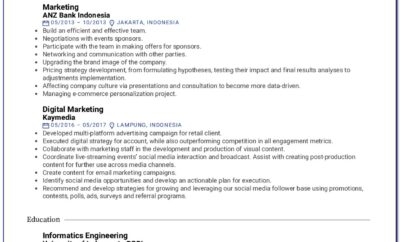 Digital Marketing Resume Sample For Experience