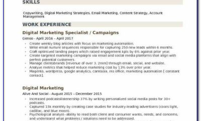 Digital Marketing Resume Sample For Experienced
