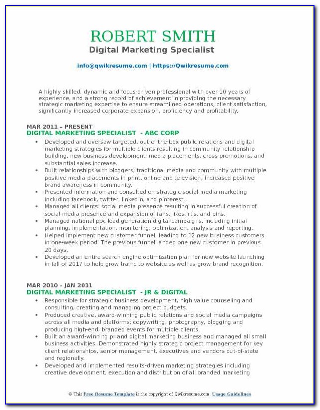 Digital Marketing Resume Sample India