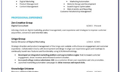 Digital Marketing Resume Sample Pdf