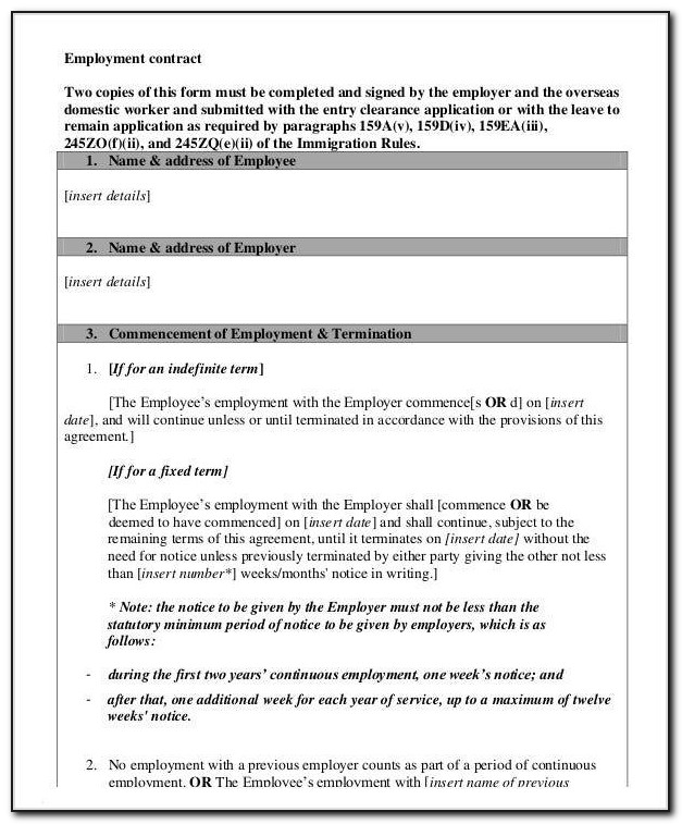 Director Employment Contract Template South Africa