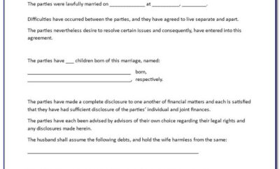 Divorce Financial Agreement Sample