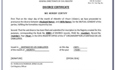 Divorce Mediation Settlement Agreement Form