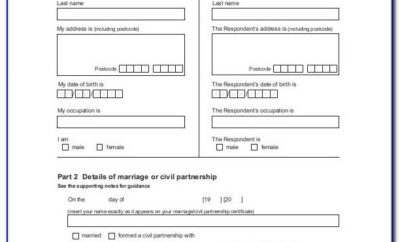 Divorce Papers Template South Africa