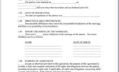 Divorce Property Settlement Documents