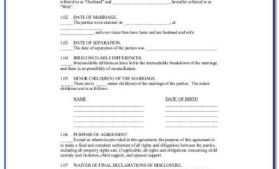 Divorce Settlement Agreement Sample Uk