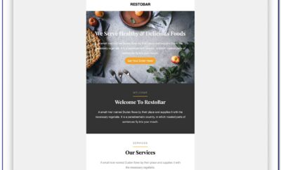 Email Marketing Templates For Mailchimp