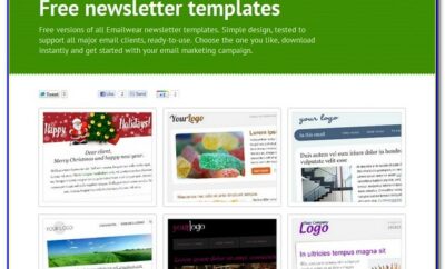 Email Newsletter Template Ms Word
