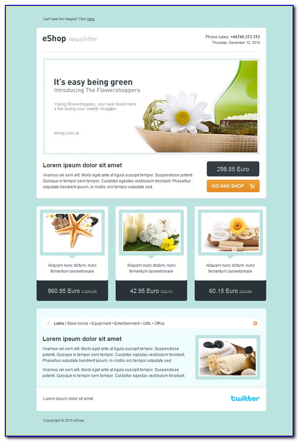 Email Newsletter Templates Publisher