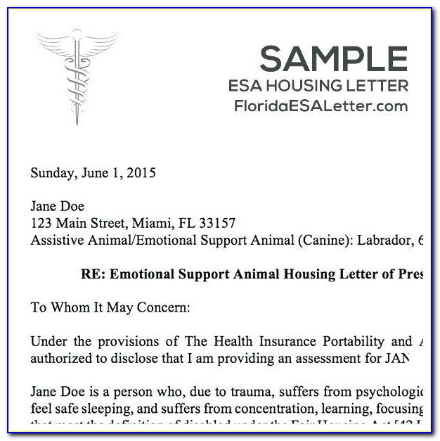 Emotional Support Animal Doctor Letter Example