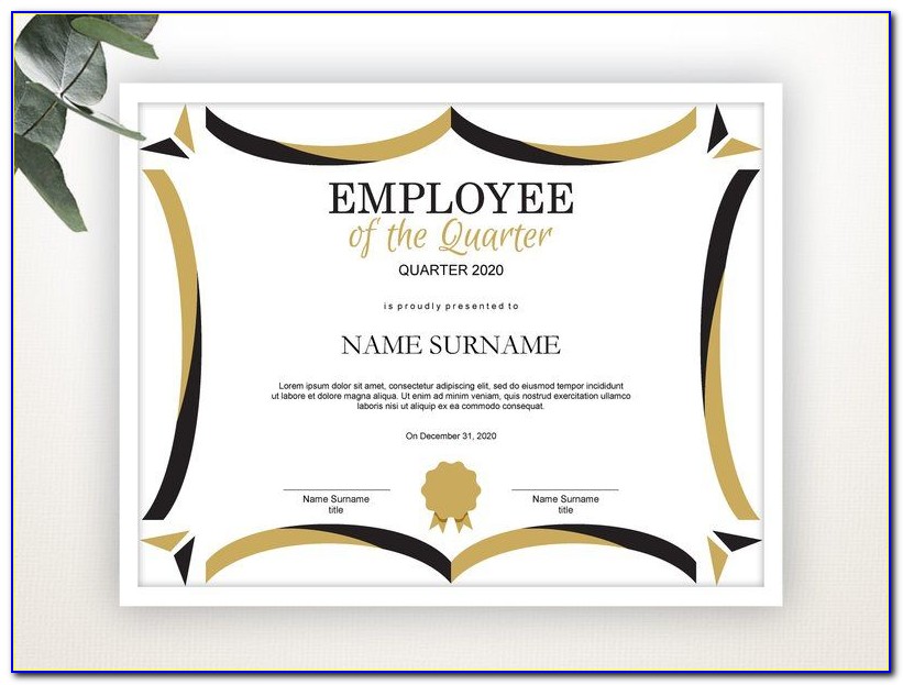 Employee Confidentiality Non Compete Agreement Template