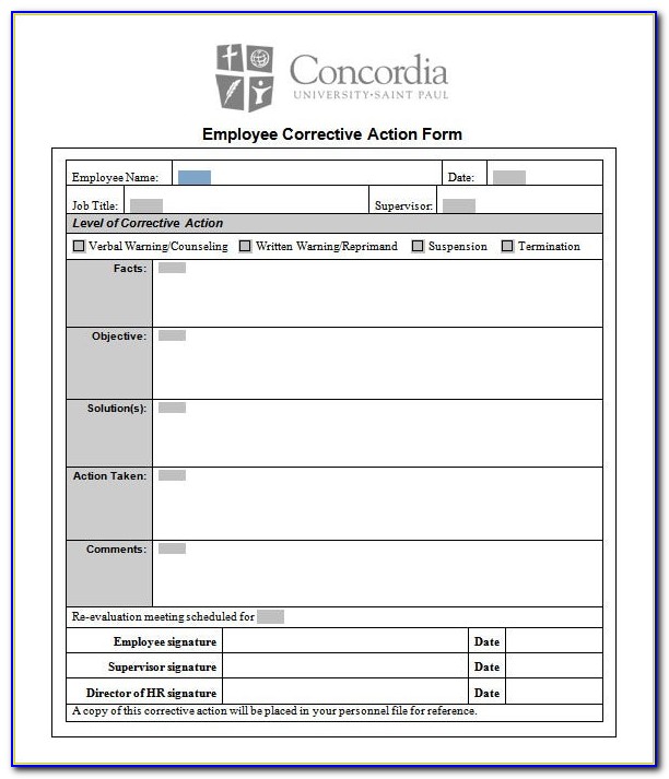 Employee Corrective Action Plan Template Excel