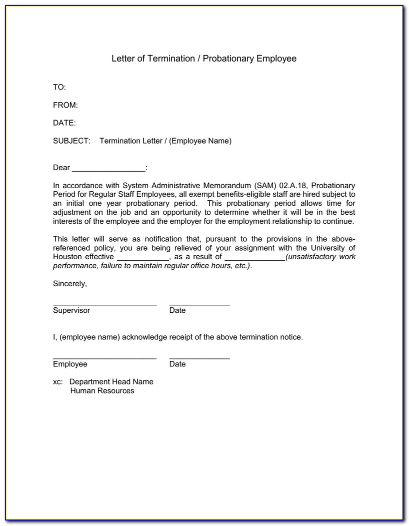 Employee Probation Letter Example