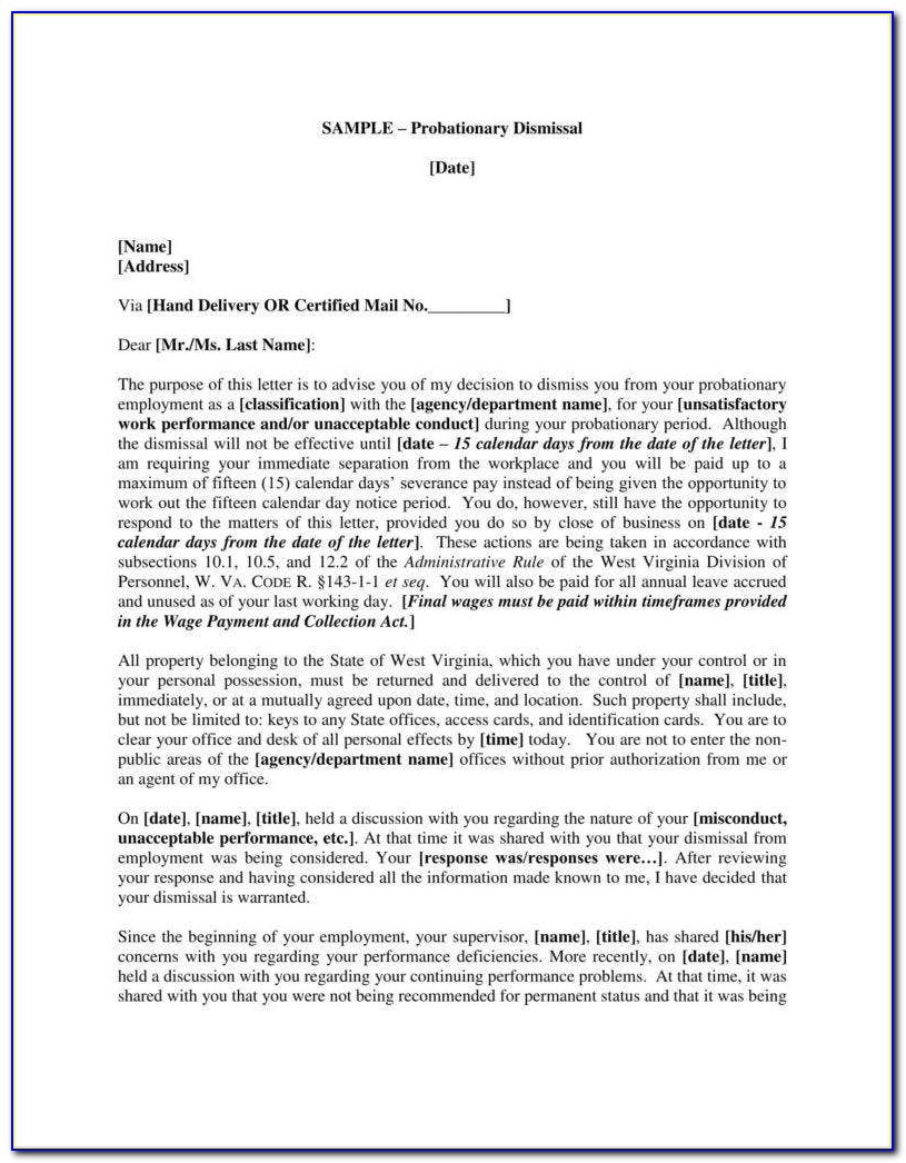 Employee Probationary Period Letter Template