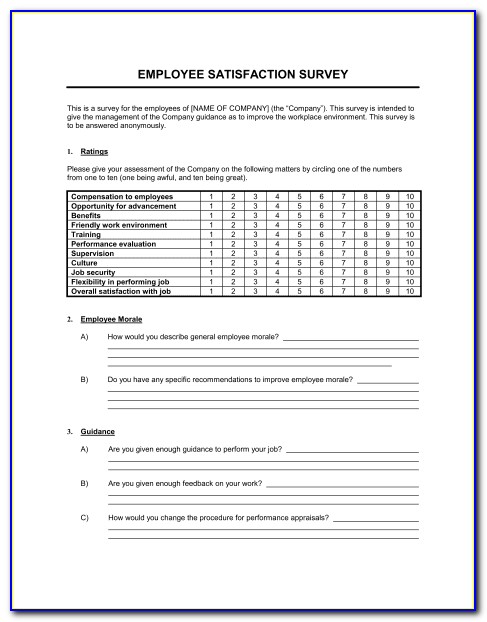 Employee Satisfaction Survey Example