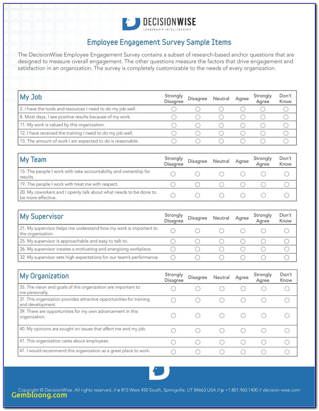 Employee Satisfaction Survey Format