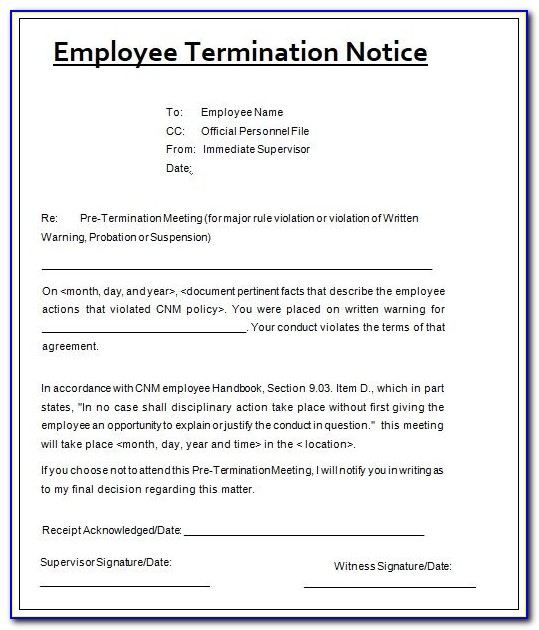 Employee Termination Letter Word Document
