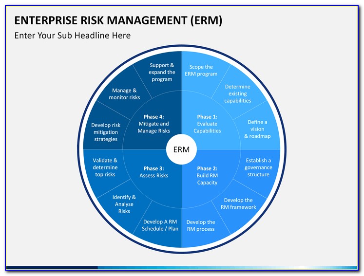 Enterprise Risk Management Sample Resume