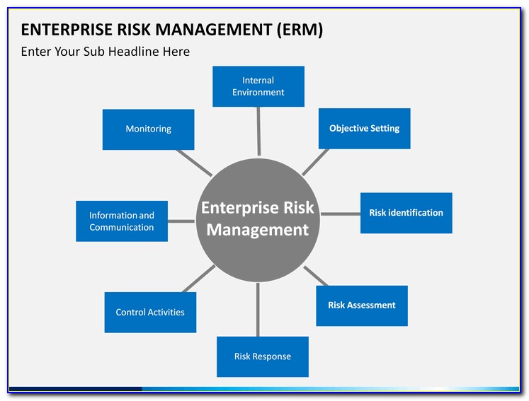 Enterprise Risk Management Sample