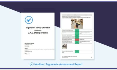 Ergonomic Risk Assessment Form
