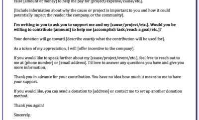 Example Of Asking For Donation Letter