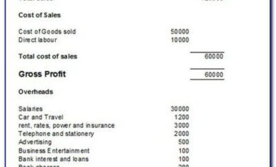 Example Profit And Loss Statement Uk