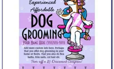 Pet Grooming Flyer Template