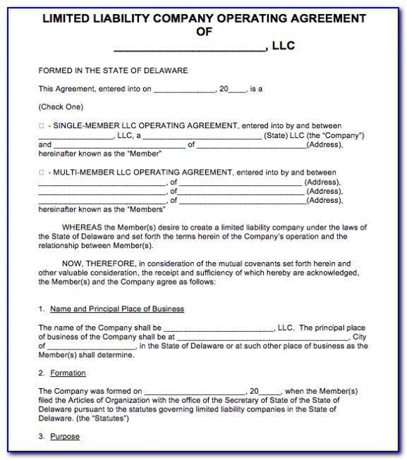 Short Form Delaware Llc Operating Agreement