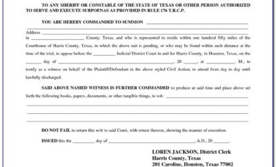 State Of Texas Divorce Decree Form