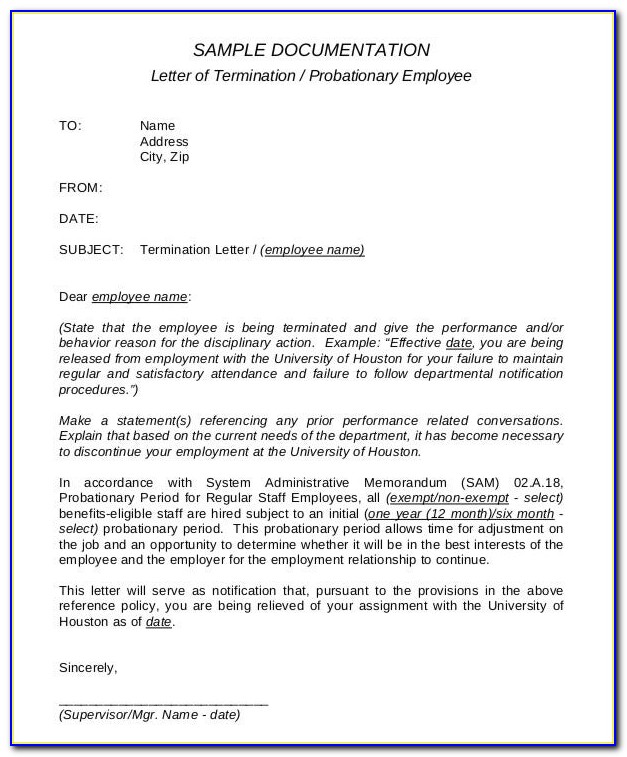 Work Probation Letter Template