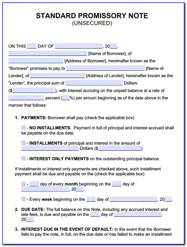 Business Promissory Note Template