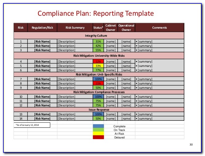 Compliance Business Plan Sample