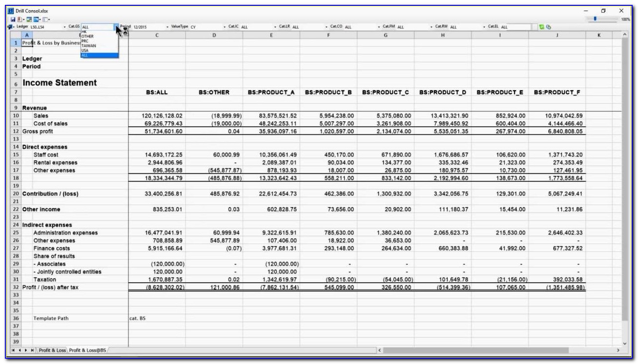Consolidated Income Statement Excel Template
