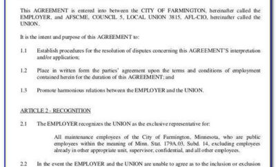 Contract Labor Agreement Document