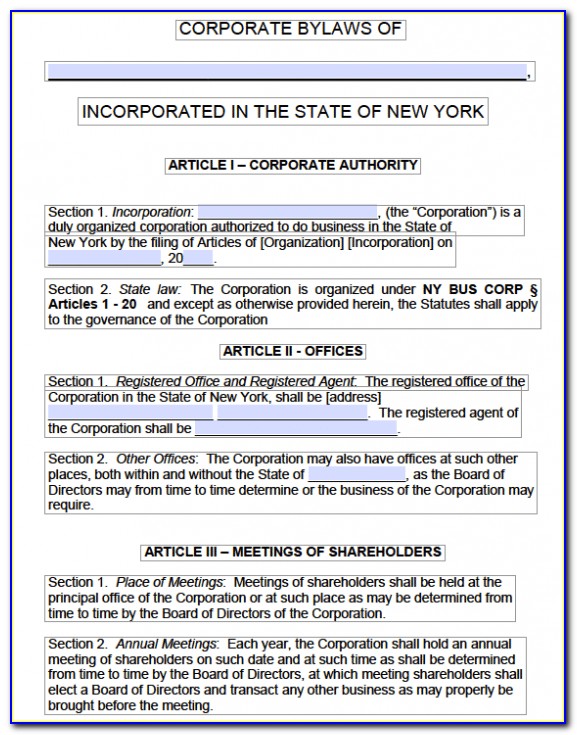 Corporate Bylaws Template New York
