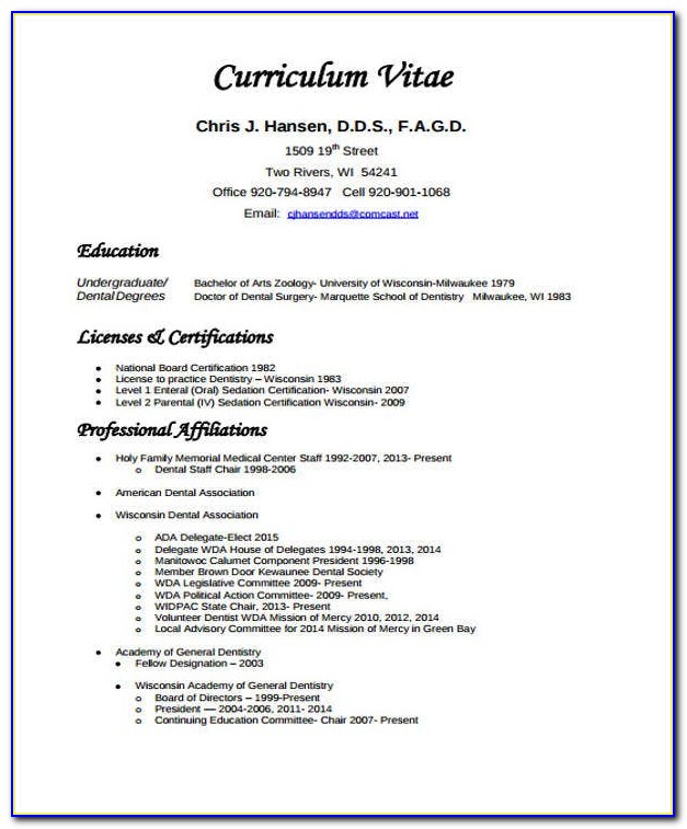 Curriculum Vitae Example Accountant