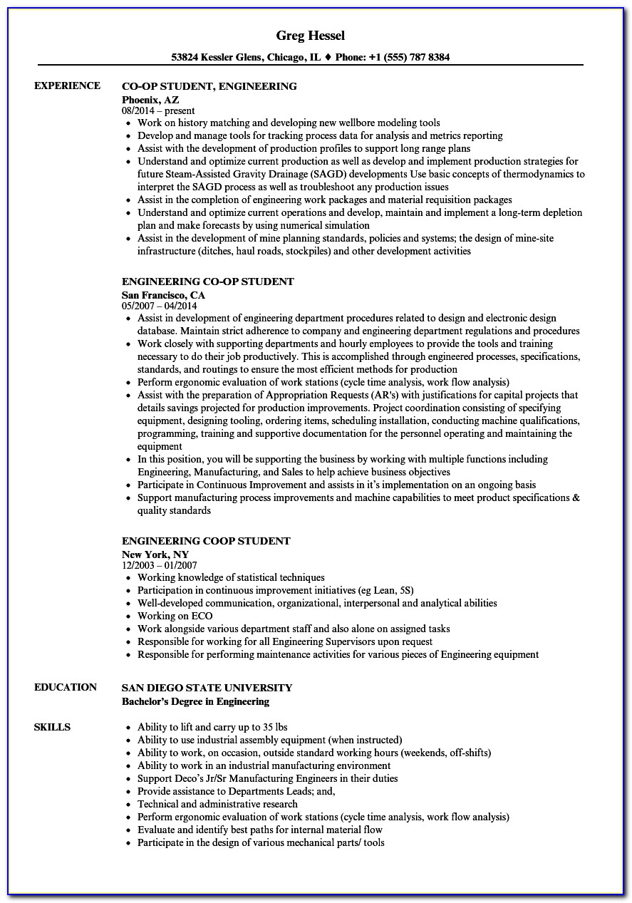 Curriculum Vitae Examples For A Student