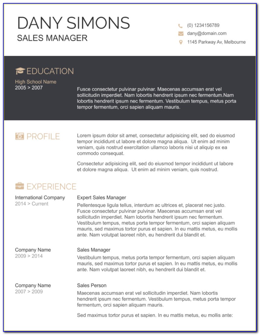 Curriculum Vitae Template For Word 2007