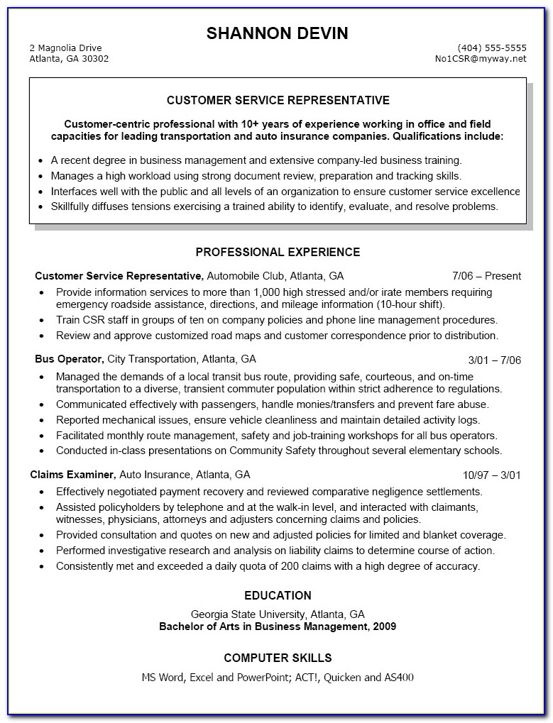 Customer Service Professional Summary Resume Sample