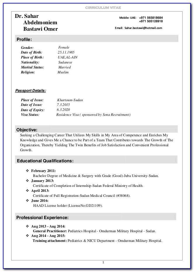 Cv Template For Apple Pages