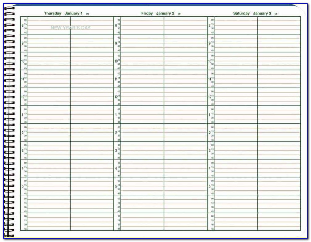Daily Appointment Book Template Free