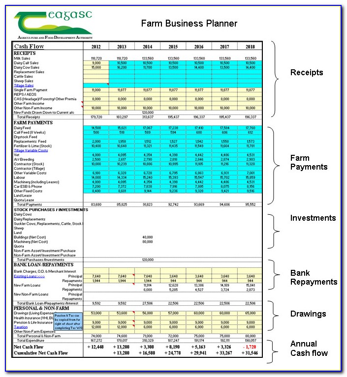 A Sample Beef Cattle Farming Business Plan Template