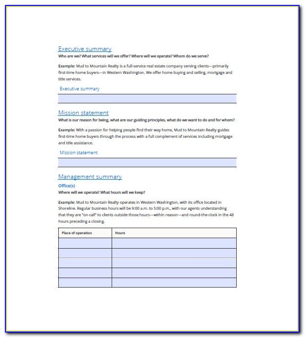 Business Plan For Law Firm Template