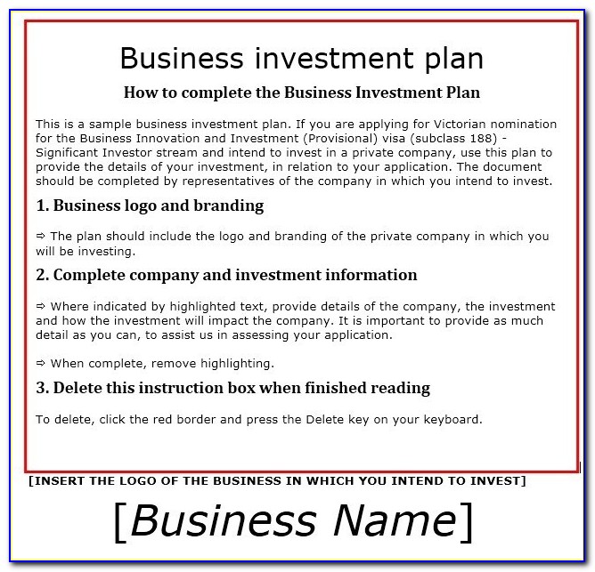 Business Plan Format For Investors