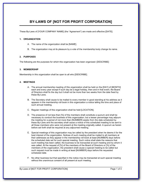 Bylaws Examples For Non Profit Organization