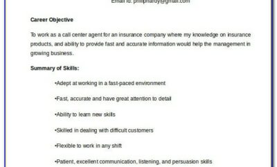 Call Center Agent Resume Template