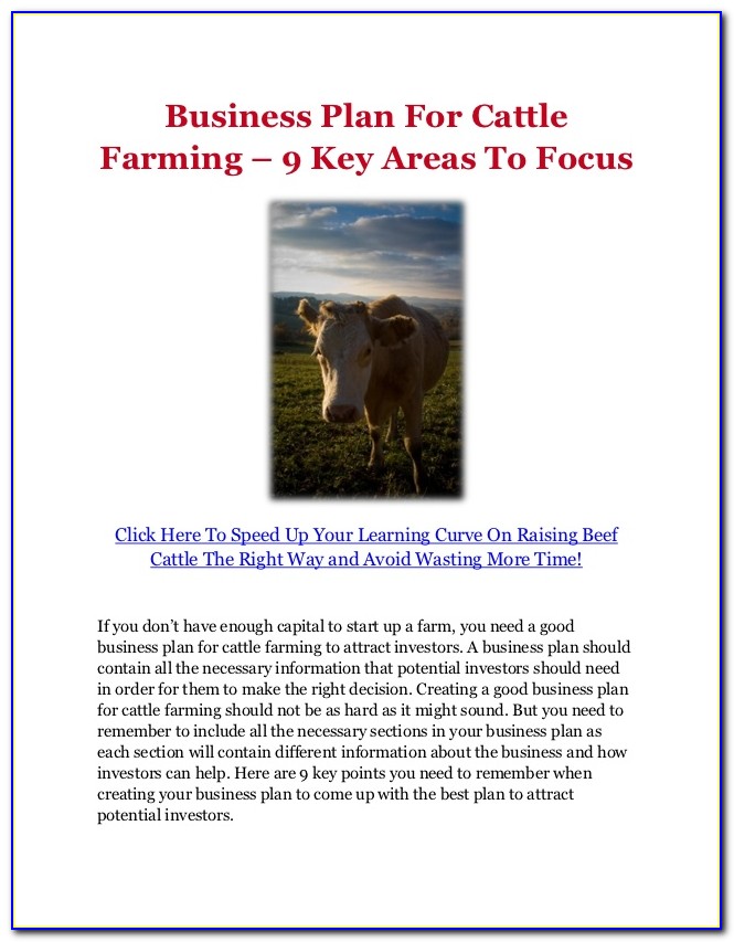 Cattle Business Plan Example