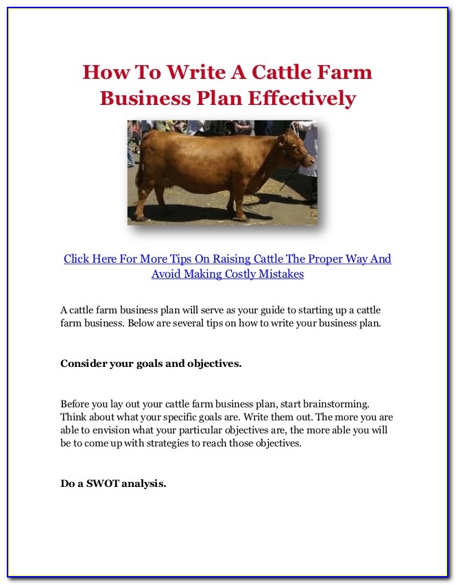 Cattle Business Plan Template
